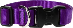 1in Purple 16-28 Adj Collar