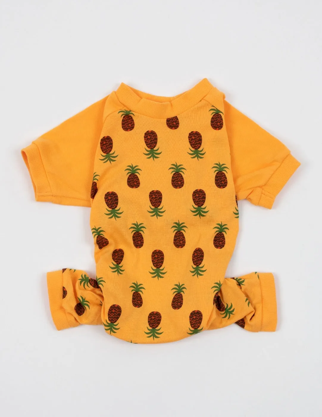 Dog's Pineapple Pajamas