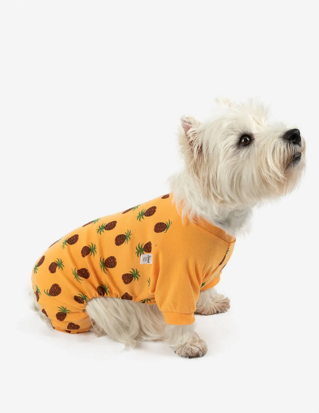 Dog's Pineapple Pajamas